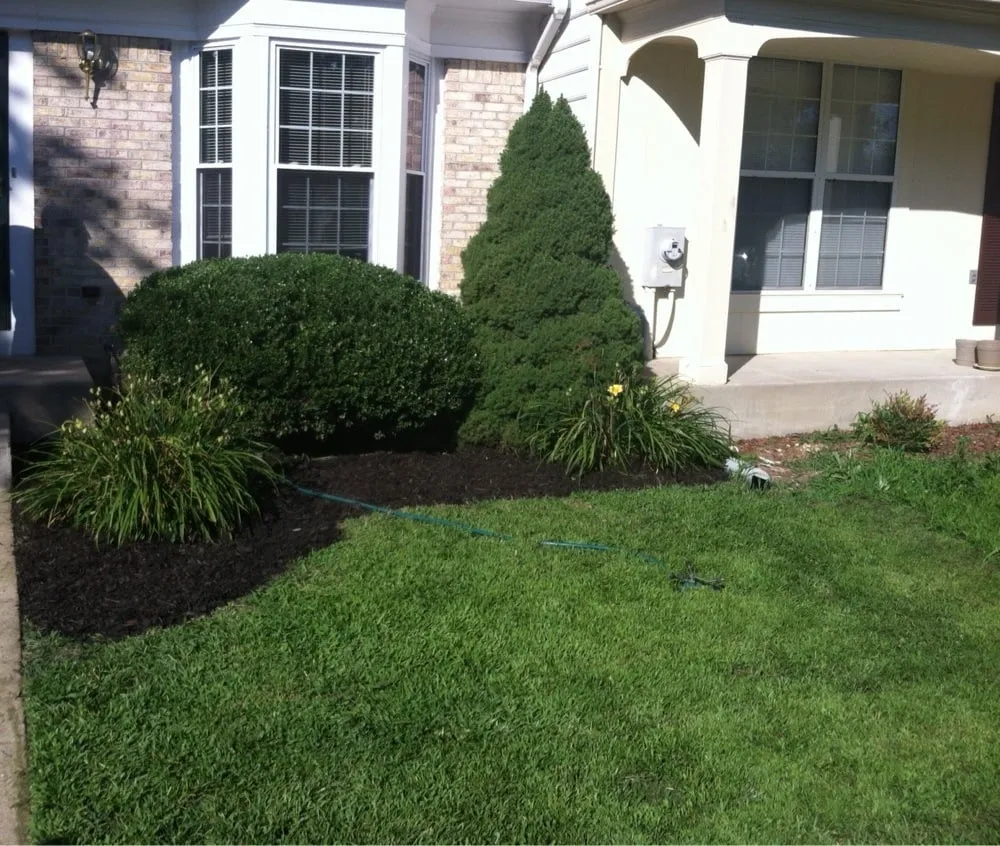 Local landscape design in Baltimore, MD - G & S Multi-Services, LLC