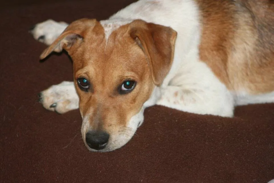 Trusted landscape installation in Walpole, MA - G & T Equipment & Landscape