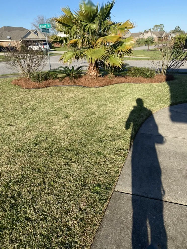 Professional residential landscaping in Foley, AL by G & T Lawncare Service