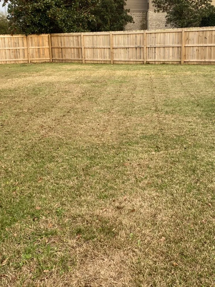 Expert lawn care service for beautiful yards in Foley, AL by G & T Lawncare Service