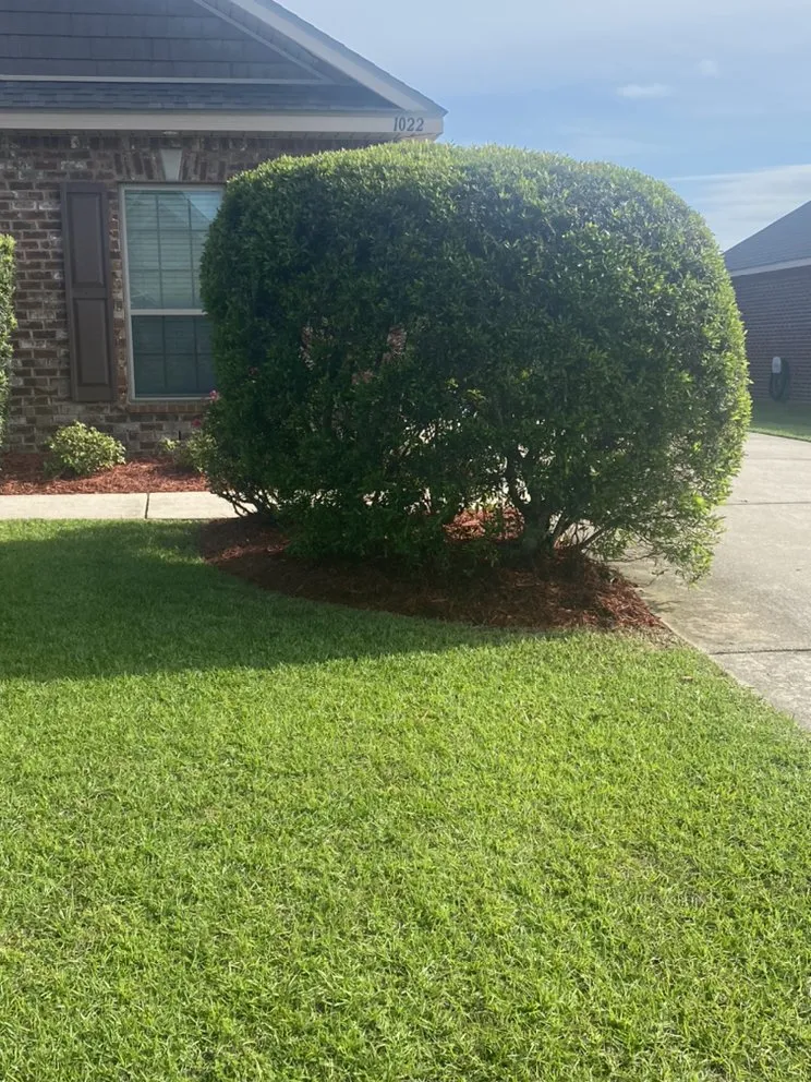 Local outdoor landscaping in Foley, AL by G & T Lawncare Service