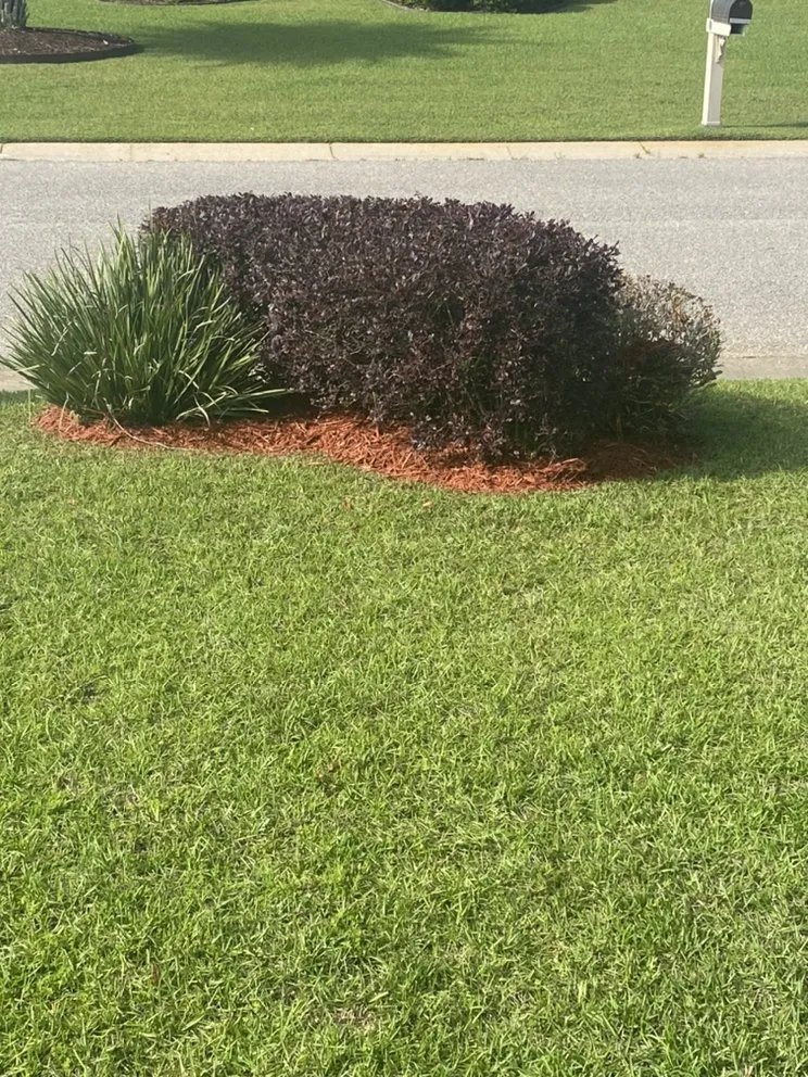 Professional landscape installation near you in Foley, AL by G & T Lawncare Service
