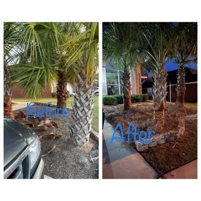 G & T Lawncare Service Logo