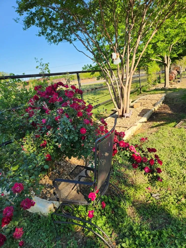 Top-rated residential landscaping in Alvarado, TX - G & Z Landscaping