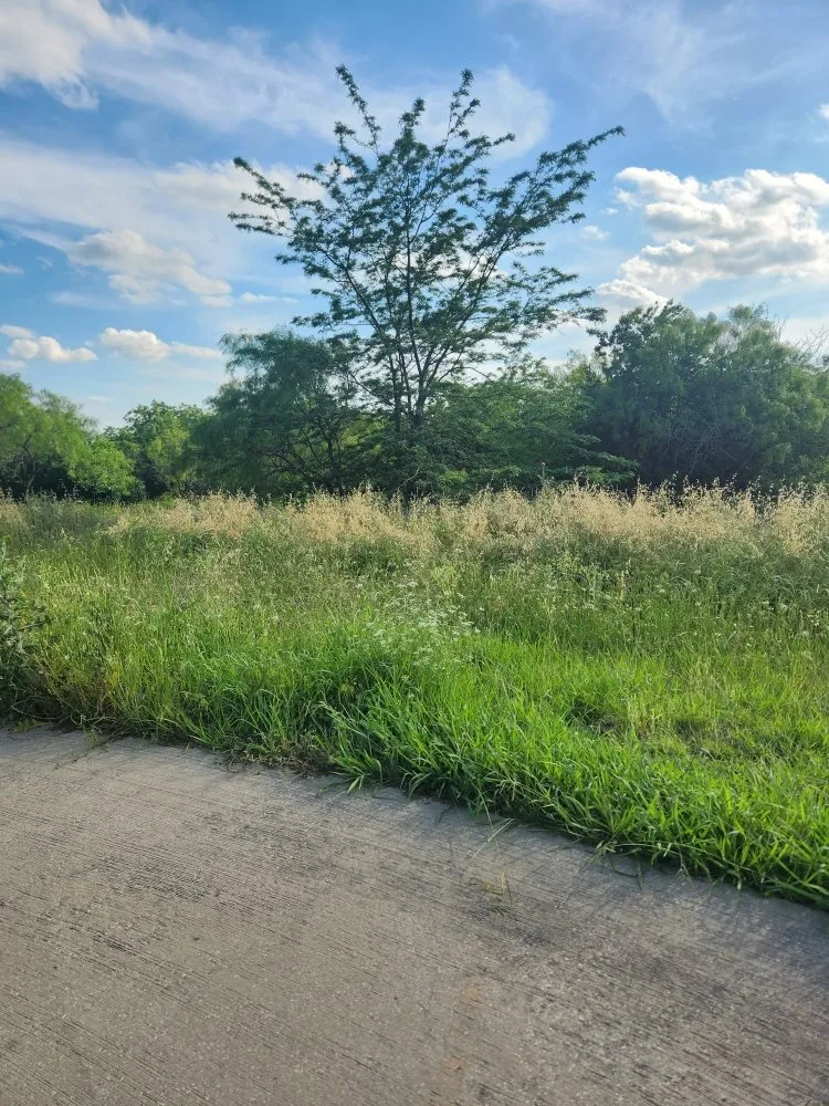 Local landscape installation for outdoor upgrades across Alvarado, TX - G & Z Landscaping