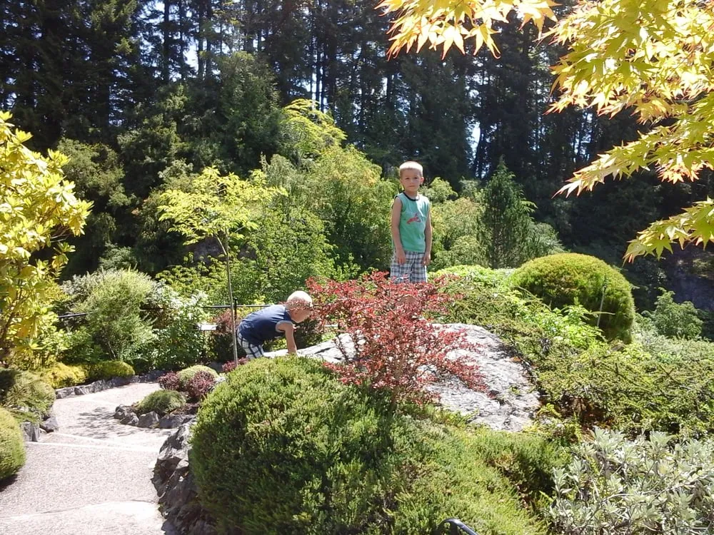 Top-rated lawn care service for outdoor upgrades across Vancouver, WA - G 7 Services Inc