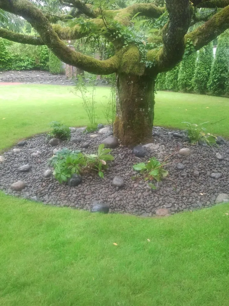 Top-rated landscape design for homes across Vancouver, WA - G 7 Services Inc