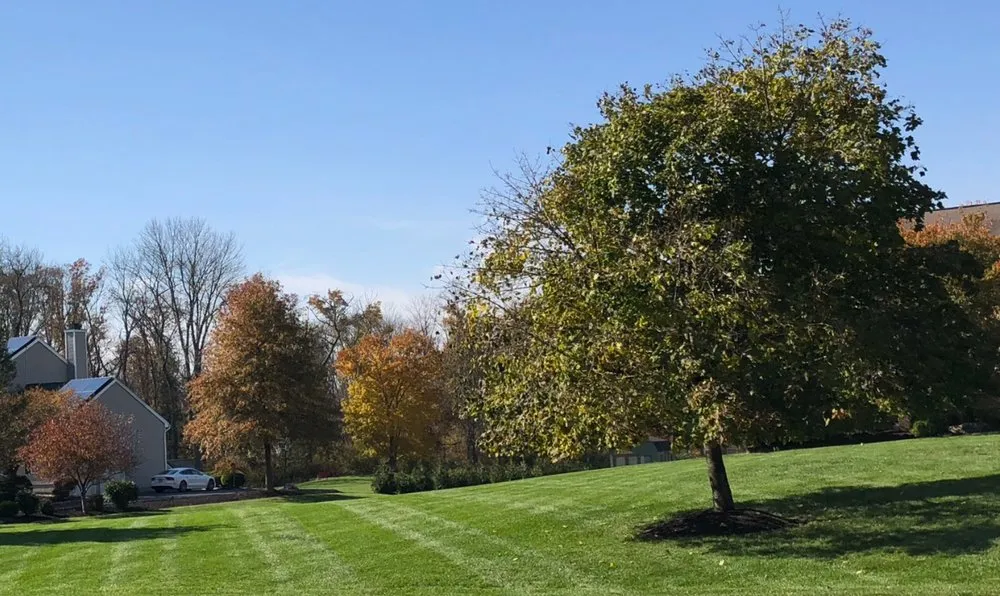 Affordable landscape design in Somerset, NJ by G A Landscaping