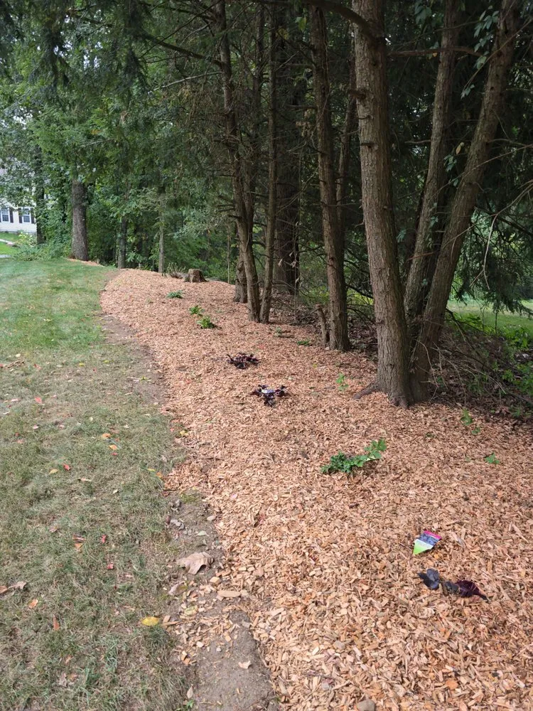 Expert landscaping services in Boston, MA - G and C Landscaping Services