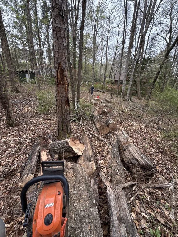 Local landscape installation in Auburn, AL by G and C Services