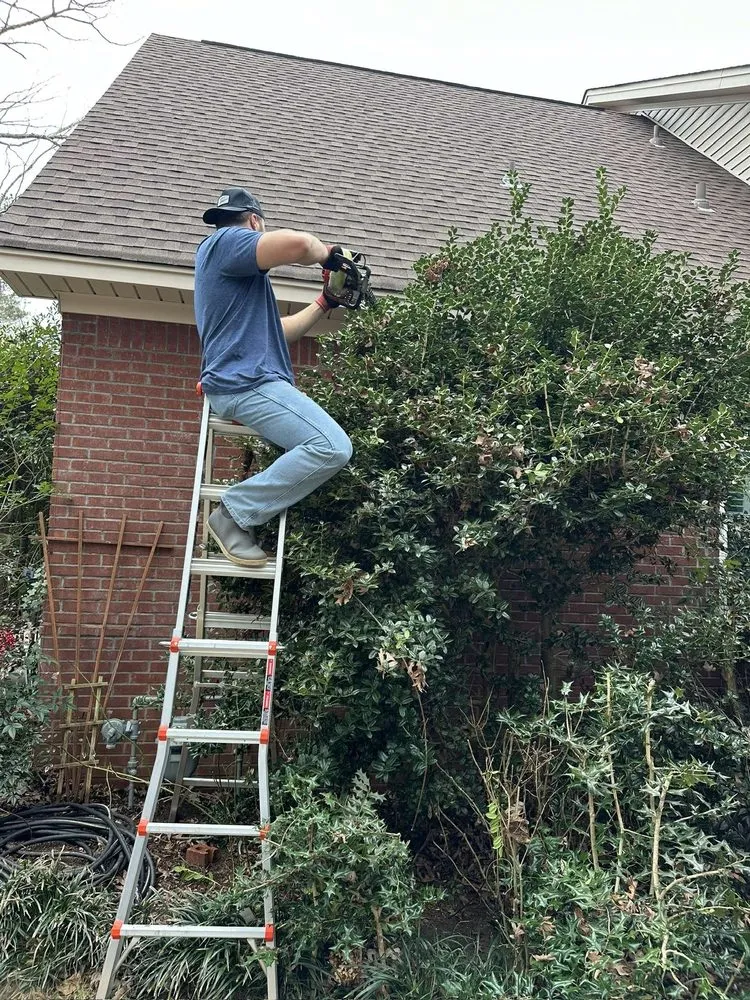 Professional landscape design in Auburn, AL - G and C Services