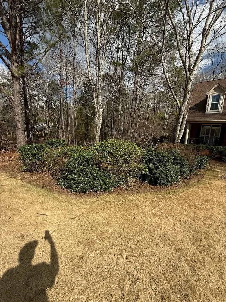 Local lawn care service for year-round maintenance in Auburn, AL by G and C Services