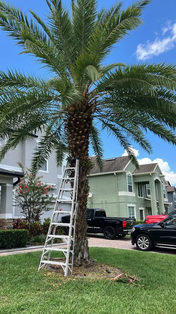 Expert landscaping services in Apopka, FL by G And G Landscaping & Ground Maintenance