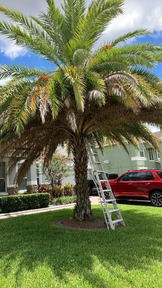 Expert outdoor landscaping experts serving Apopka, FL - G And G Landscaping & Ground Maintenance