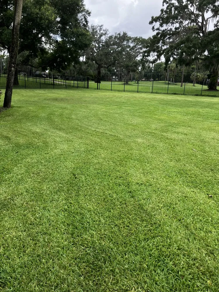 Local lawn care service in Apopka, FL by G And G Landscaping & Ground Maintenance
