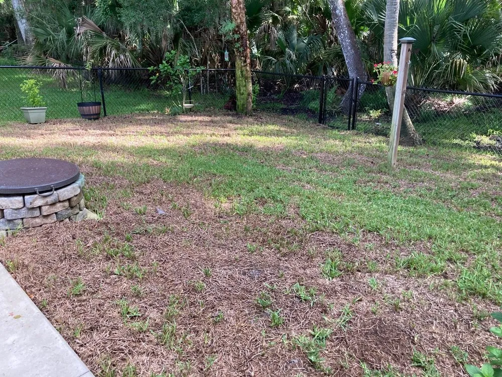 Affordable lawn care service experts serving FL, FL - G and G Quality Sod