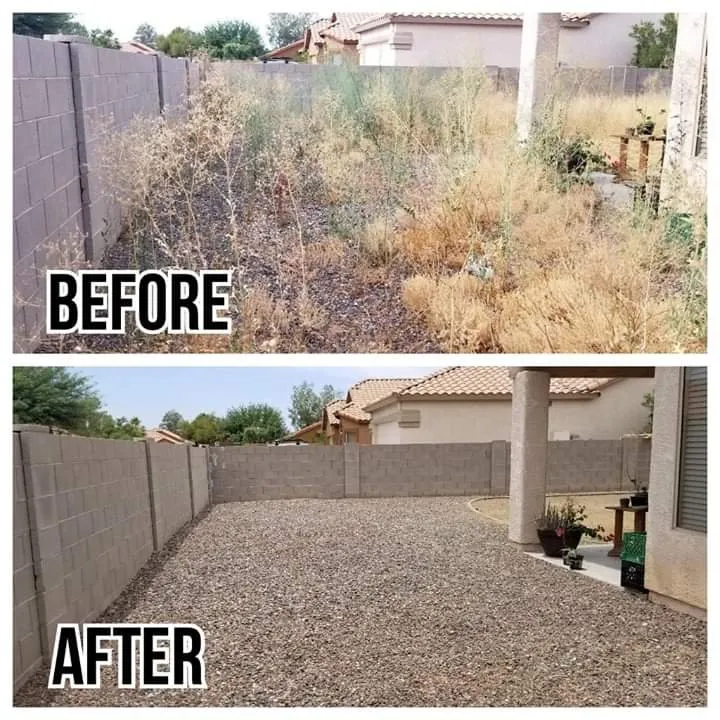 Top-rated yard cleanup service experts serving Tucson, AZ - G and G Yard Care