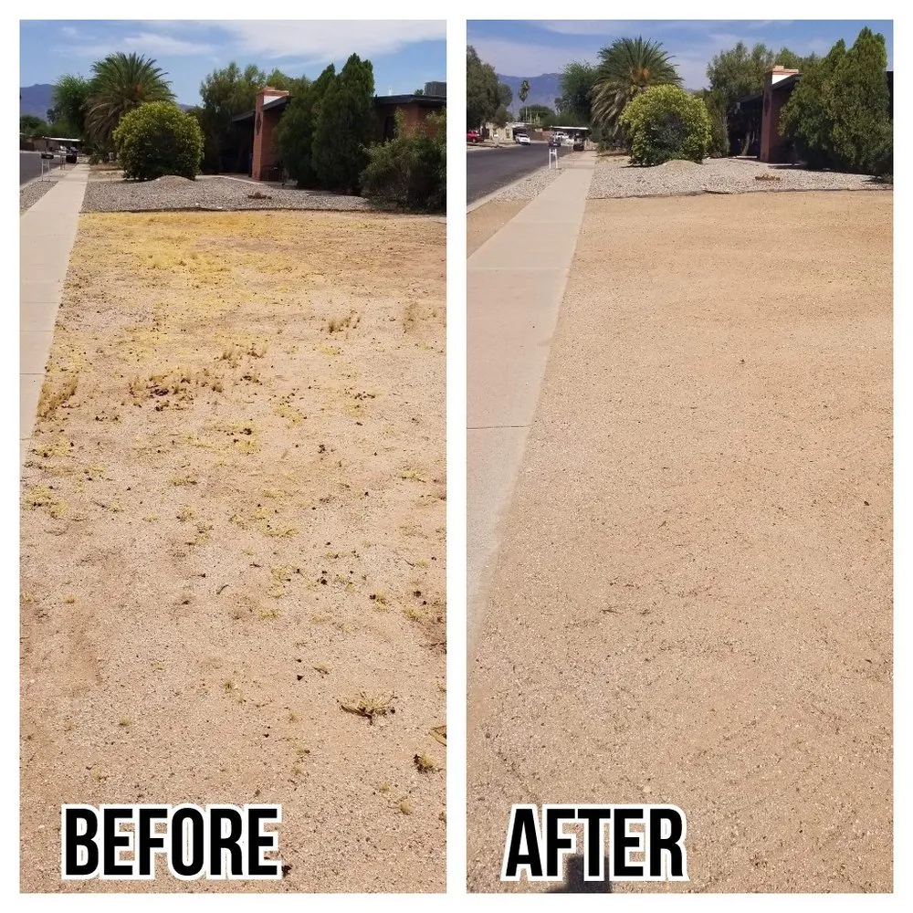 Top-rated lawn care service for beautiful yards in Tucson, AZ by G and G Yard Care