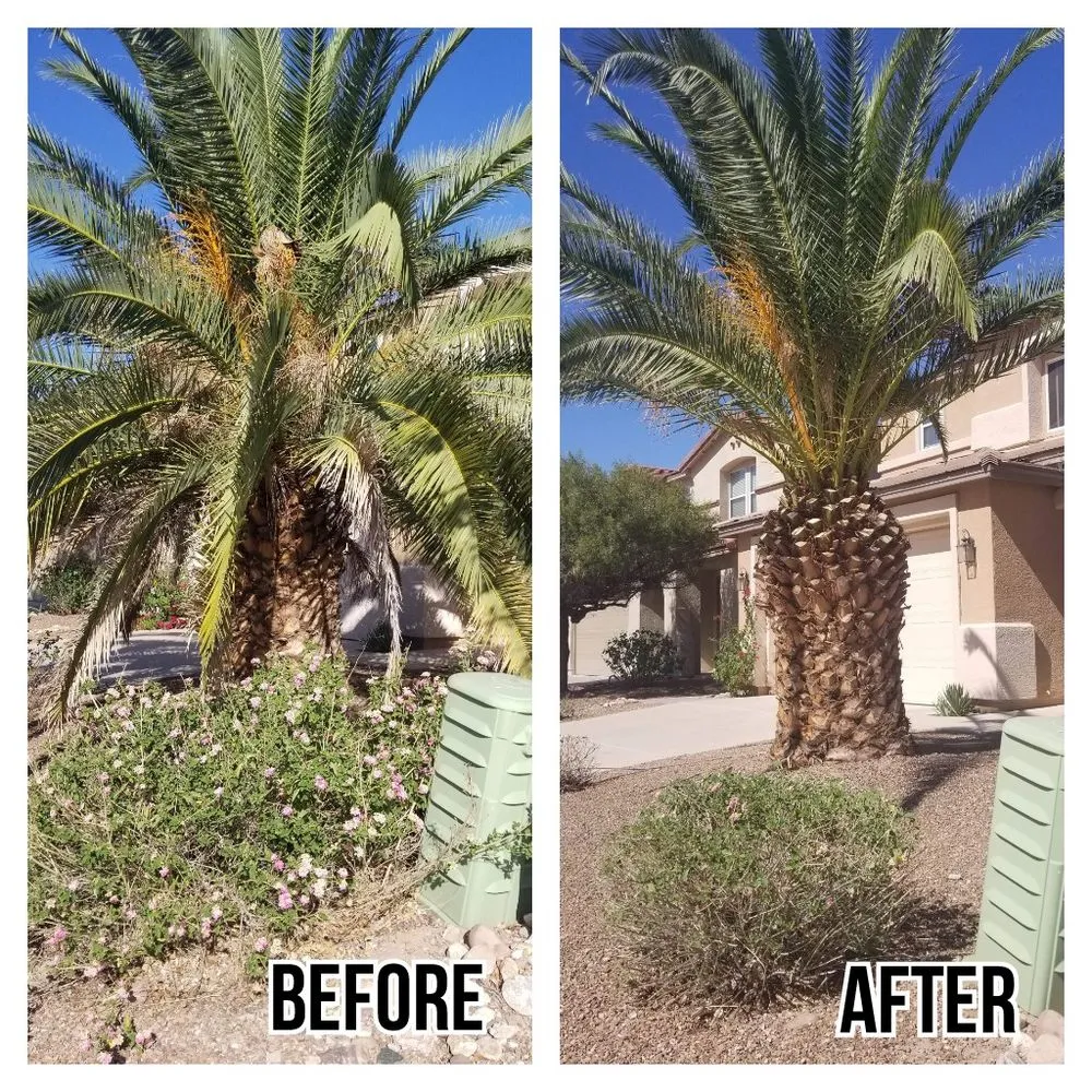 Local residential landscaping in Tucson, AZ by G and G Yard Care