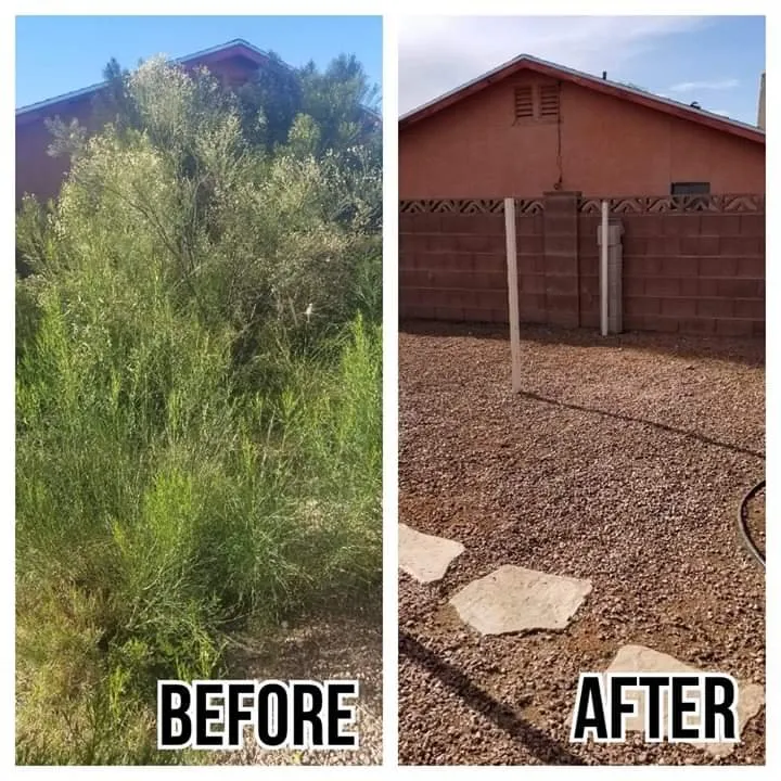 Top-rated residential landscaping for beautiful yards in Tucson, AZ by G and G Yard Care