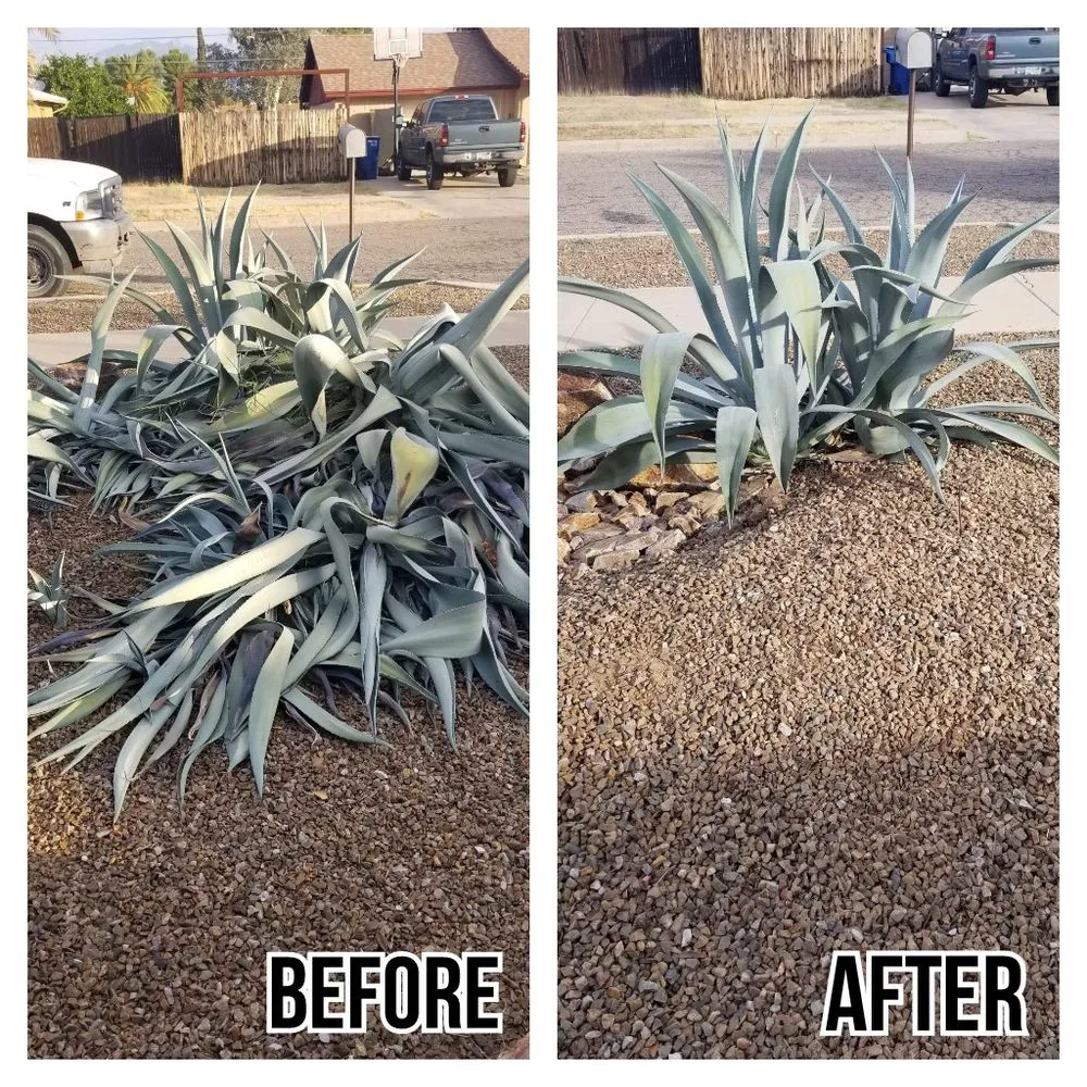 Top-rated yard cleanup service in Tucson, AZ - G and G Yard Care