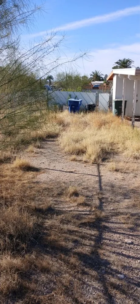 Affordable yard maintenance in Tucson, AZ by G and G Yard Care