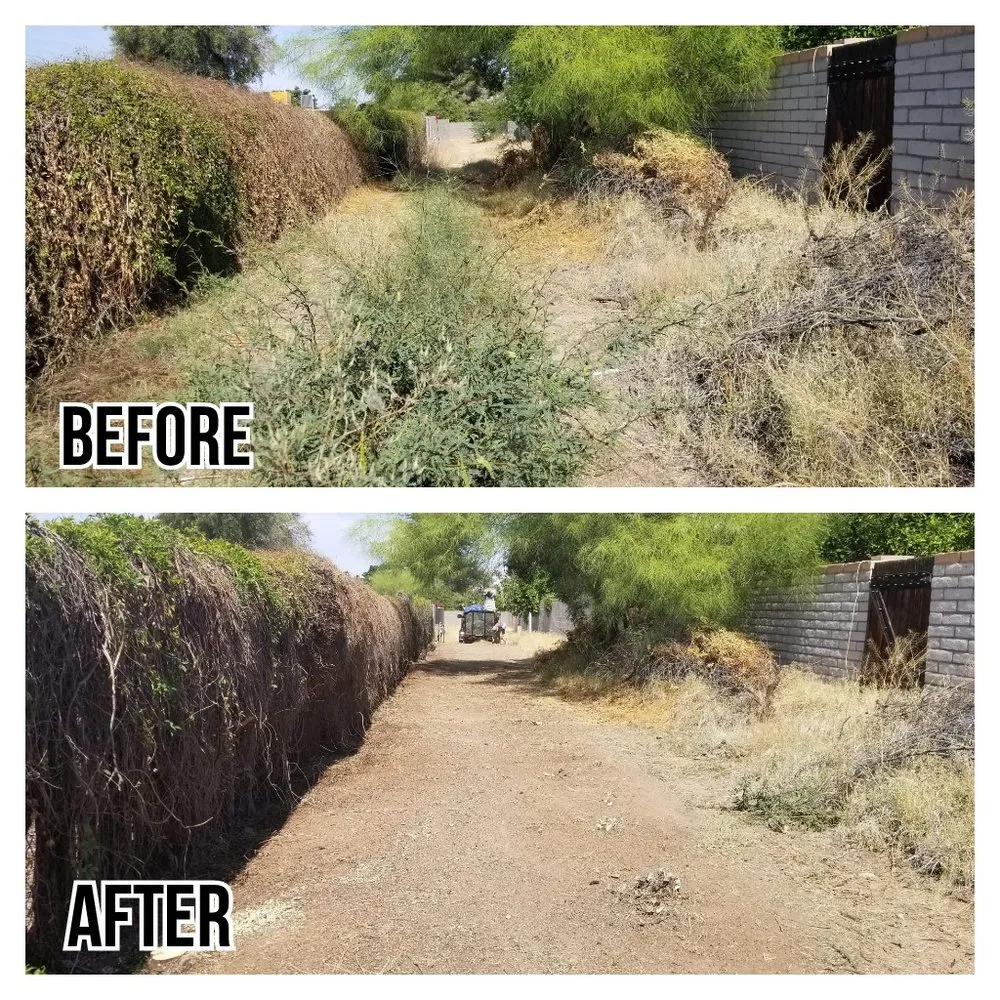 Professional outdoor landscaping experts serving Tucson, AZ - G and G Yard Care