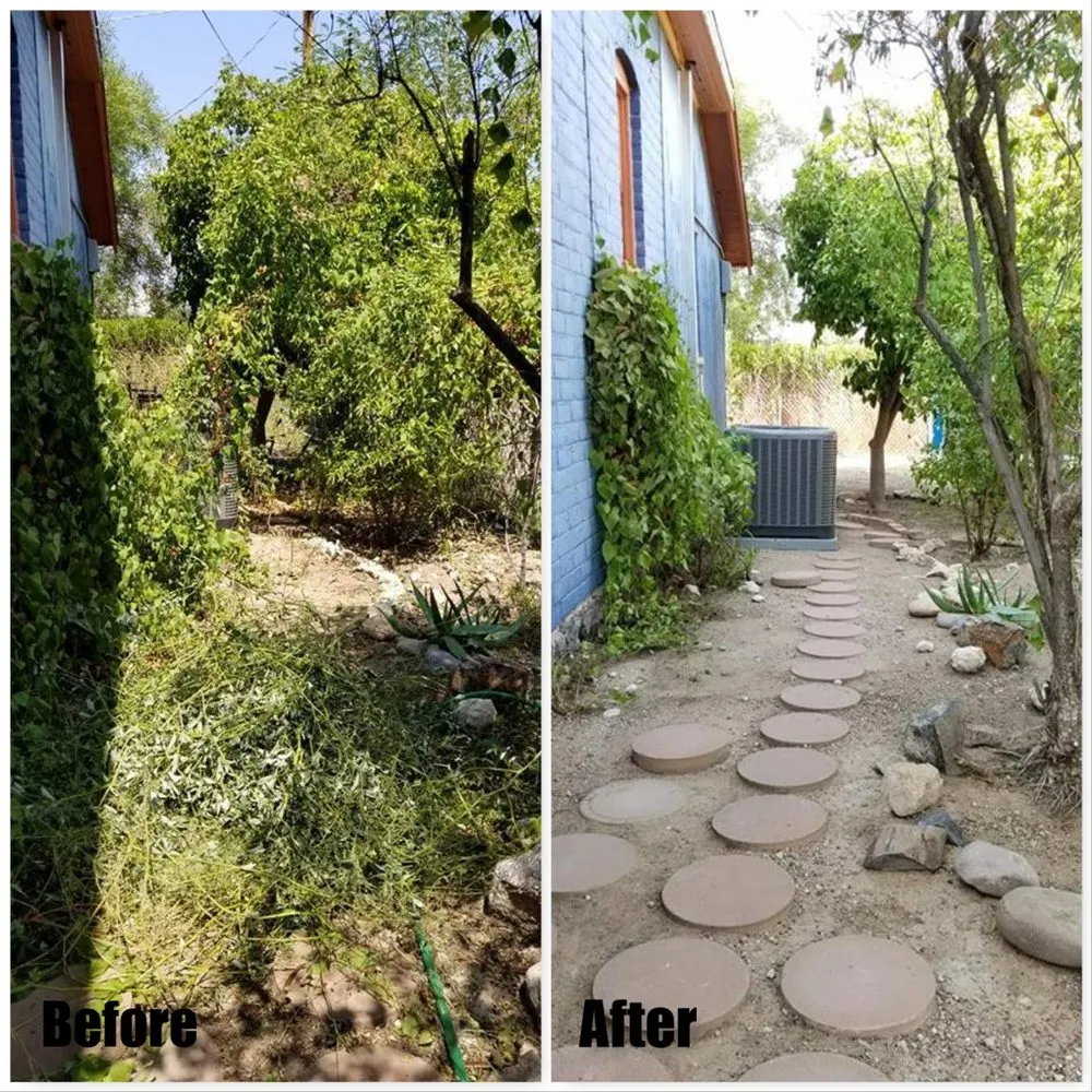 Expert lawn care service for year-round maintenance across Tucson, AZ - G and G Yard Care