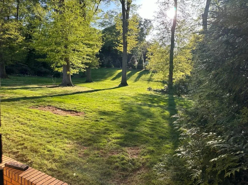 Reliable landscape installation in Greenville, SC by G And L Landscaping