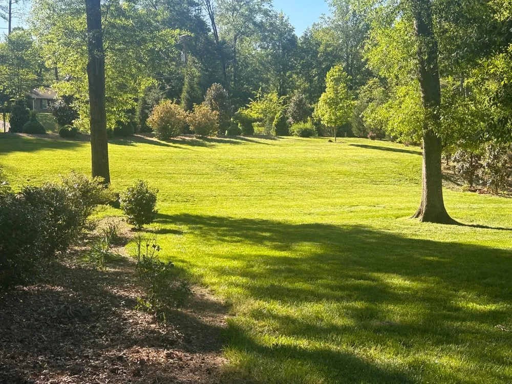 Professional yard maintenance in Greenville, SC - G And L Landscaping