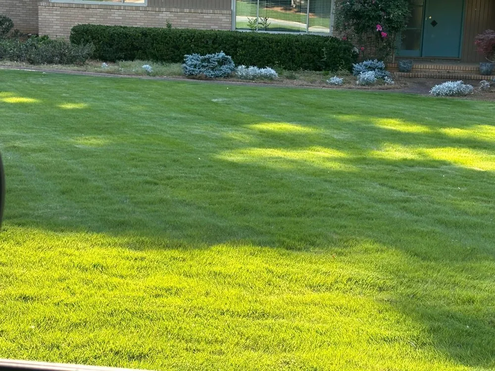 Professional lawn care service experts serving Greenville, SC - G And L Landscaping