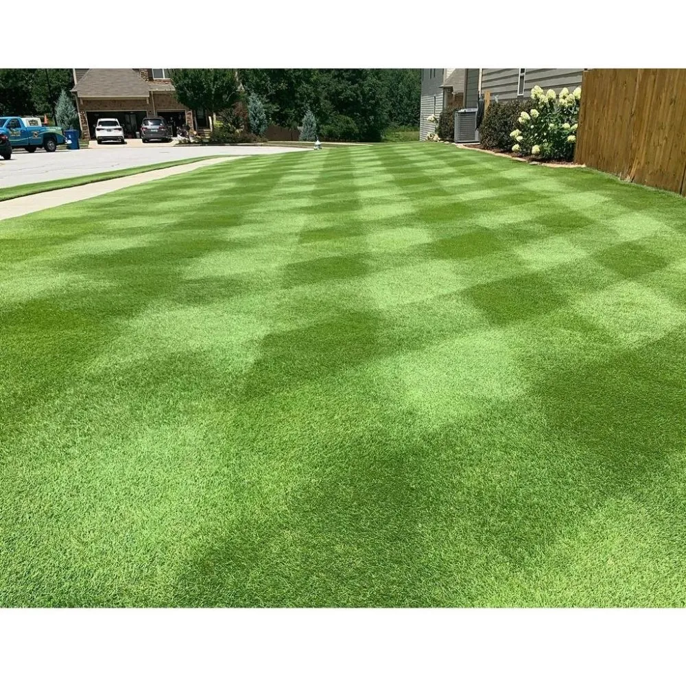 Affordable yard cleanup service in Lake Park, NC by G and R Lawn and Landscaping