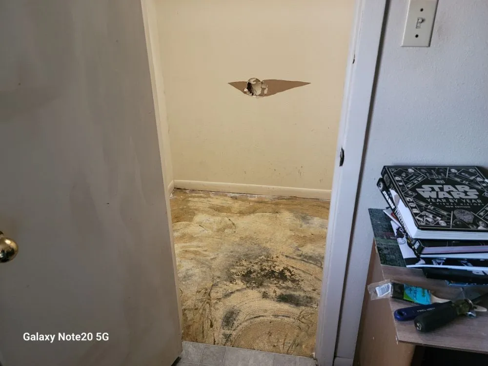 Reliable yard maintenance in Giddings, TX by G and T Lawn and Handyman Services