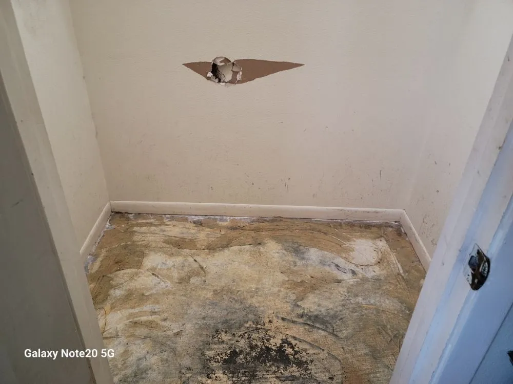 Custom landscape installation with custom design across Giddings, TX - G and T Lawn and Handyman Services