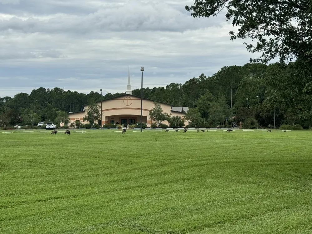 Affordable outdoor landscaping experts serving East Palatka, FL - G and T Lawn Care