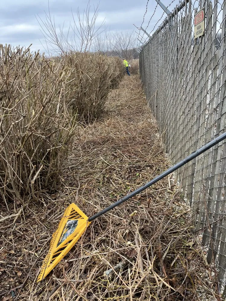 Local yard cleanup service experts serving New Haven, IN - G And T Seevocw