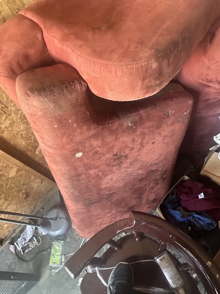 Expert yard cleanup service for homes across New Haven, IN - G And T Seevocw