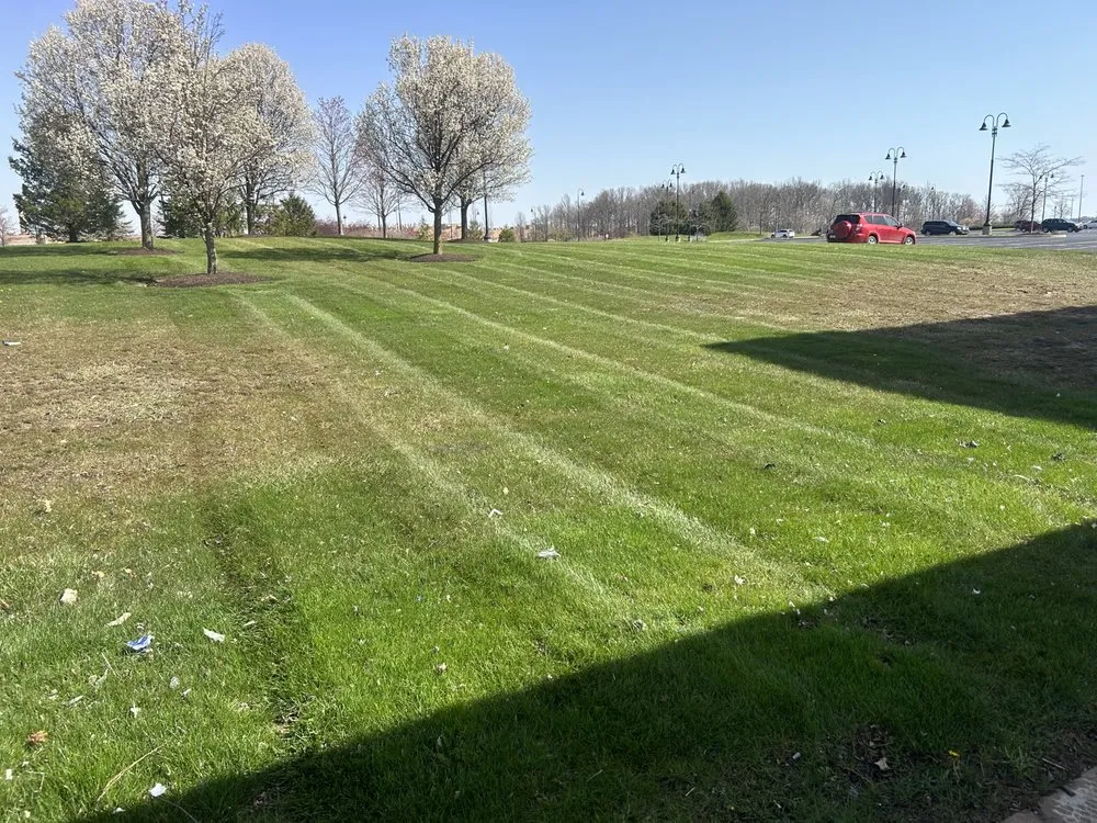 Affordable landscape design experts serving New Haven, IN - G And T Seevocw