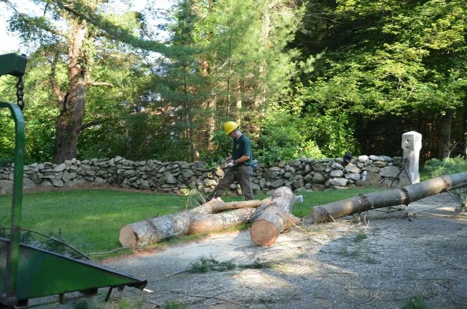 Expert yard maintenance experts serving Fairhaven, MA - G Bourne Knowles