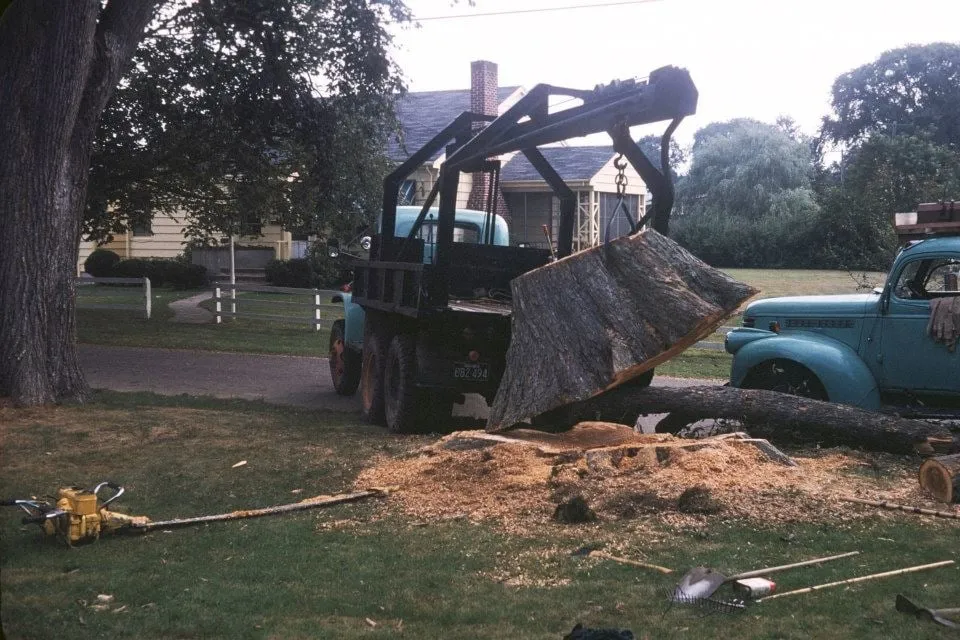 Trusted landscaping services in Fairhaven, MA - G Bourne Knowles