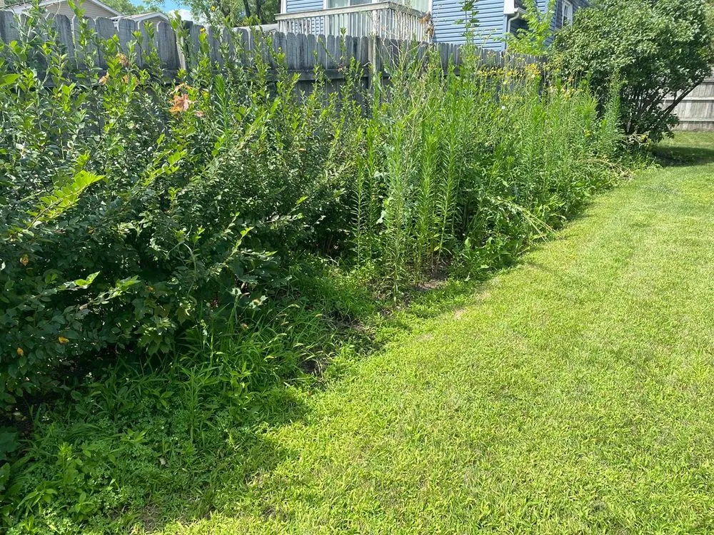 Custom landscaping services in Fox River Grove, IL by G Brau Landscaping and Design