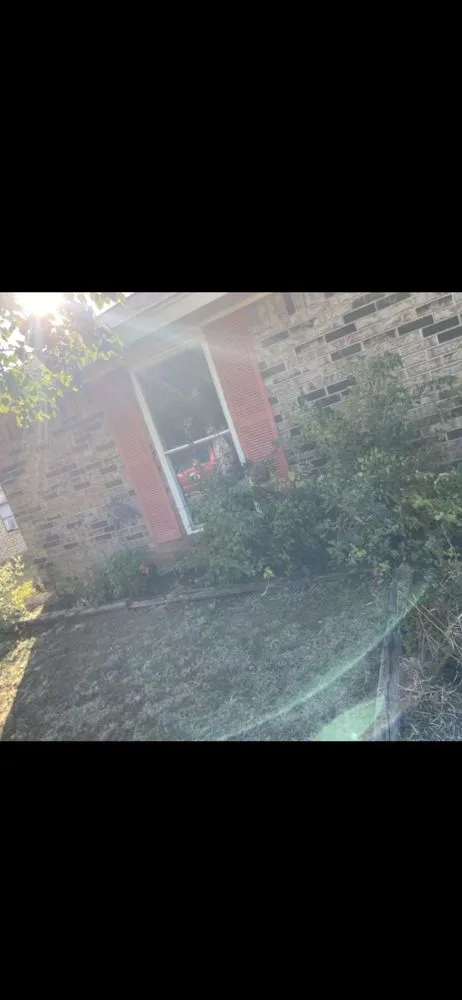 Expert lawn care service near you across Wichita Falls, TX - G Bro Kuts