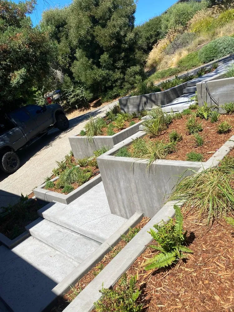 Affordable landscape design experts serving San Rafael, CA - G Bros Landscape