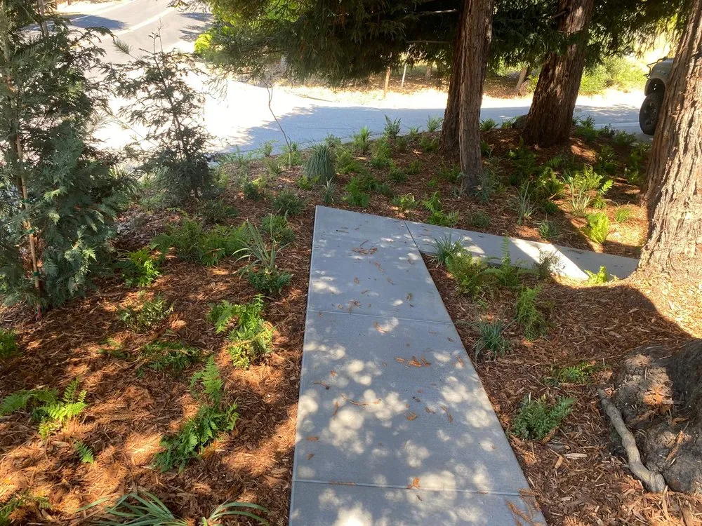 Reliable lawn care service for homes across San Rafael, CA - G Bros Landscape