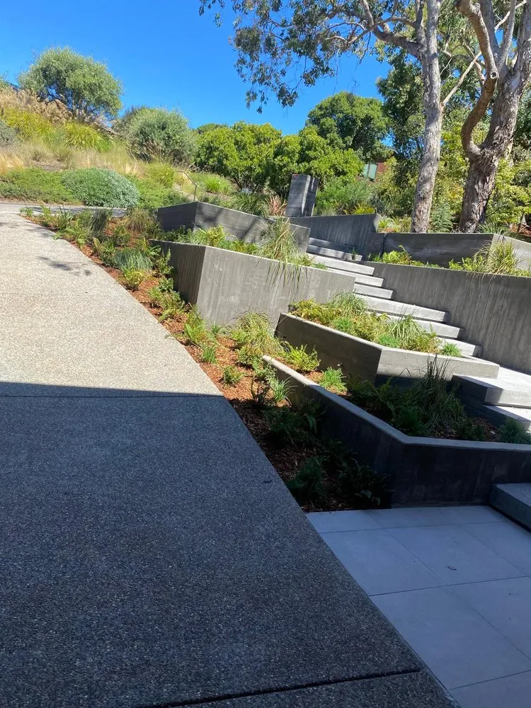 Professional landscape design in San Rafael, CA by G Bros Landscape