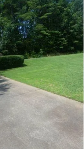 Professional landscape installation in Anderson, SC by G Brothers Landscaping