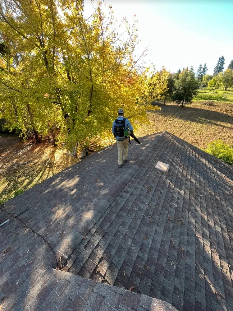 Trusted landscaping services in Petaluma, CA by G Brothers Landscaping