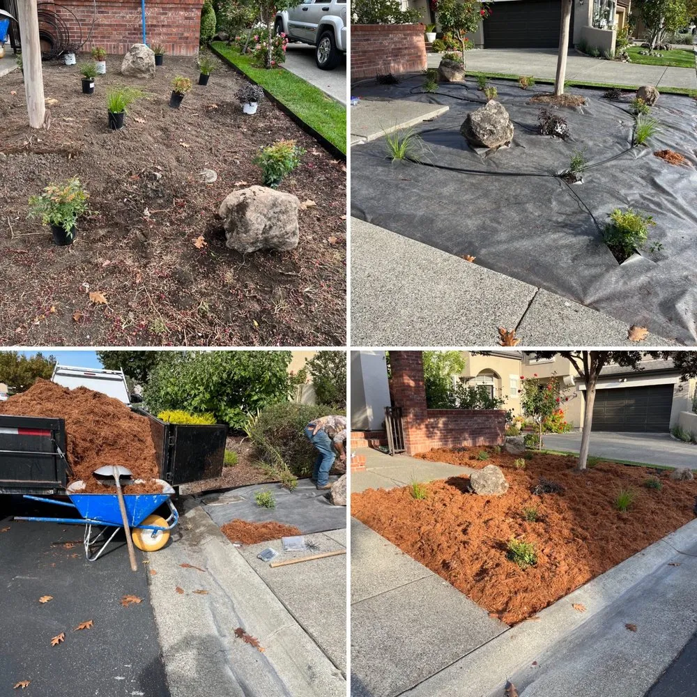 Local lawn mowing service experts serving Petaluma, CA - G Brothers Landscaping