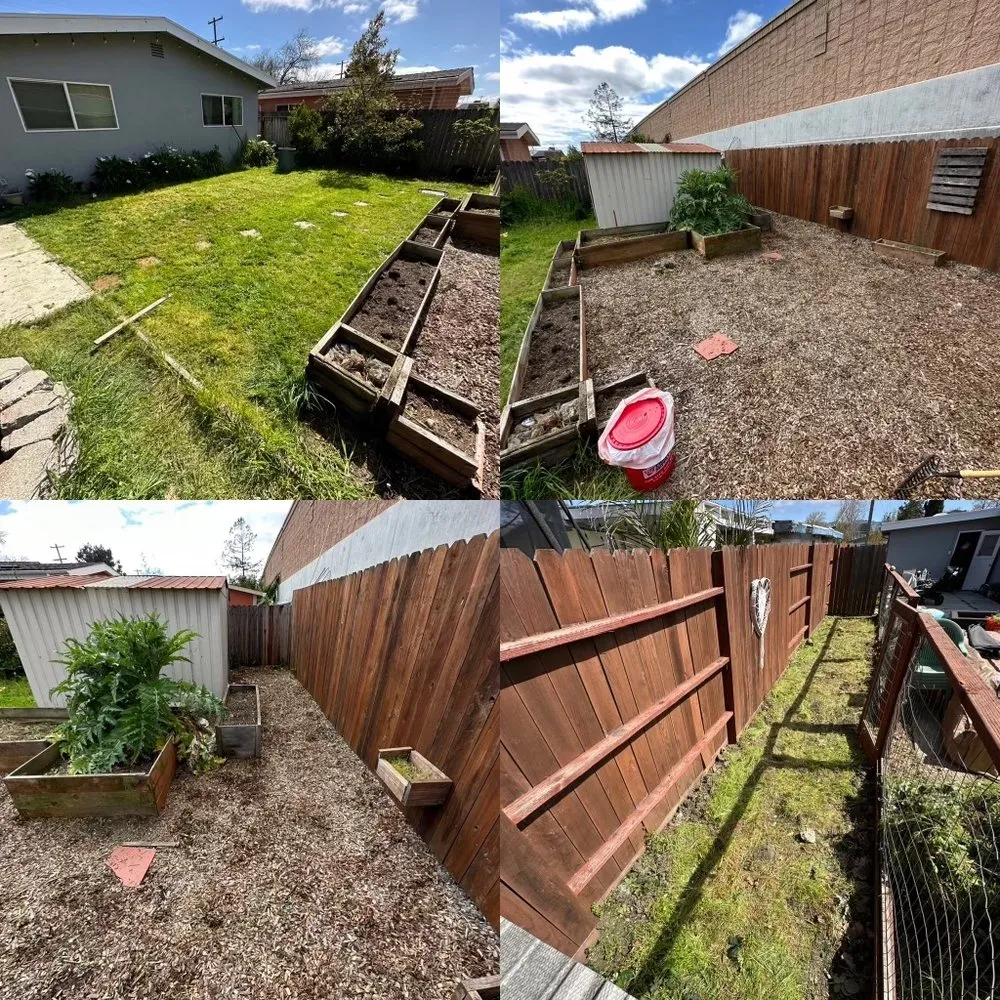 Trusted yard cleanup service in Petaluma, CA - G Brothers Landscaping