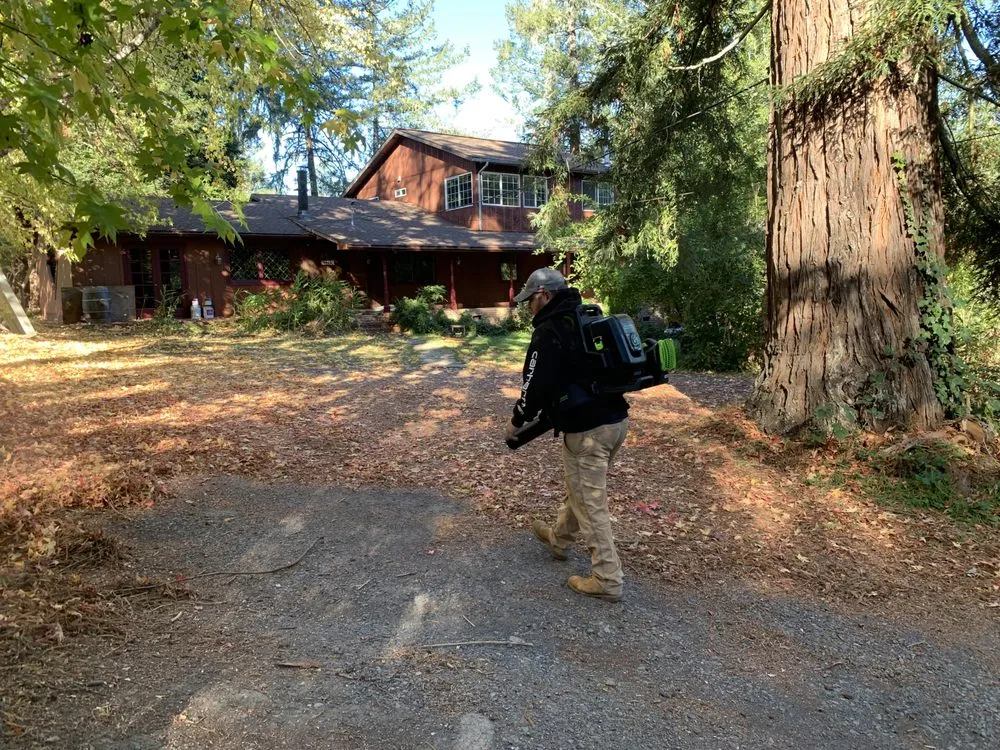 Professional outdoor landscaping in Petaluma, CA - G Brothers Landscaping